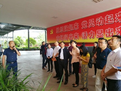 打好三張紅色牌，提升網絡文化經營核心競爭力